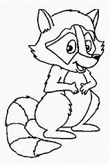 20  Free Printable Raccoon Coloring Pages EverFreeColoringcom sketch template