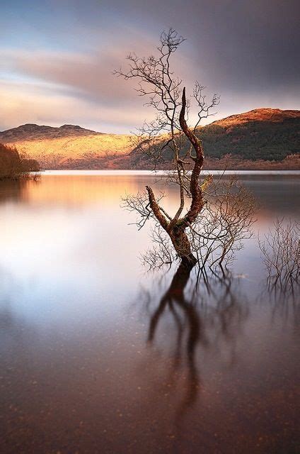 *Loch Lomond, West Dunbartonshire/Argyll Beautiful World, Beautiful Places, Glasgow, Edinburgh ...