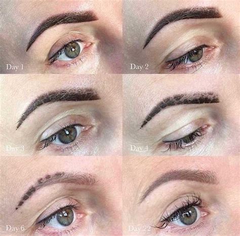 Powder Brows Scabbing Explained in Detail