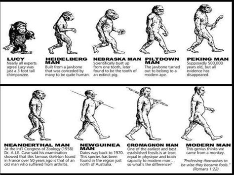 THE STORY OF HUMAN EVOLUTION