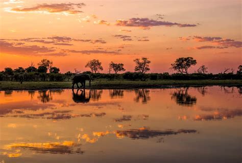 The 12 Largest Rivers in Africa - A-Z Animals