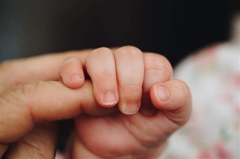 Newborn Baby Holding Parent's One Hand Free Stock Photo | picjumbo