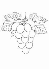Grapes Coloring Pages Printable At Rickie Messerly Blog sketch template