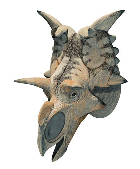 lost beasts, paleoillustration: ... | Prehistoric animals, Prehistoric wildlife, Prehistoric ...