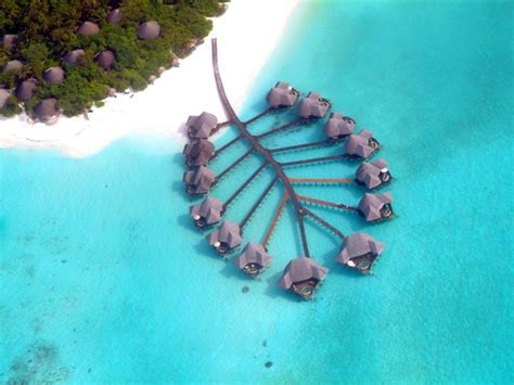 Coco Palm Dhuni Kolhu - Cheapest Prices on Hotels in Maldives Islands - Free Cancellation