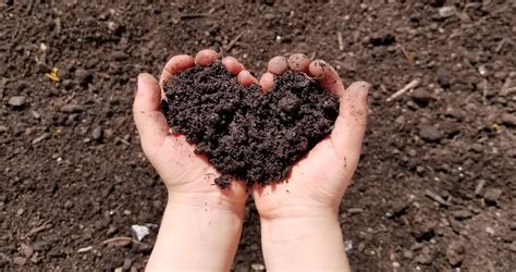 About Our Compost | Black Earth Compost