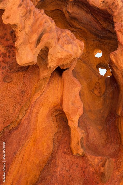 Close-up Mushroom rock nor far from White Canyon in Sinai desert. Sinai Peninsula, Egypt ...