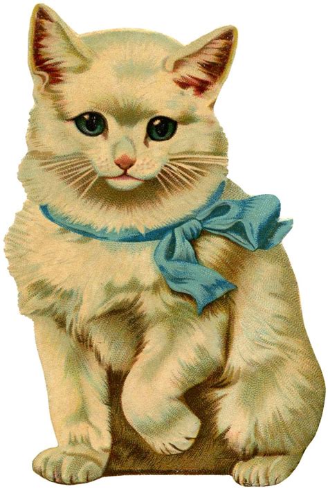 Vintage White Cat Picture Kitten Pictures, Cat Pics, Cat Clipart ...