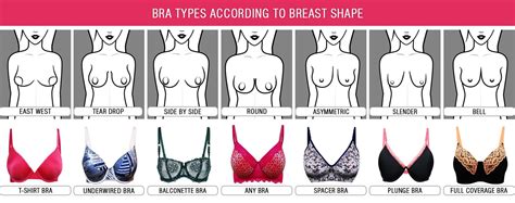 Determine the type of bra according to the body types | Perfect bra ...