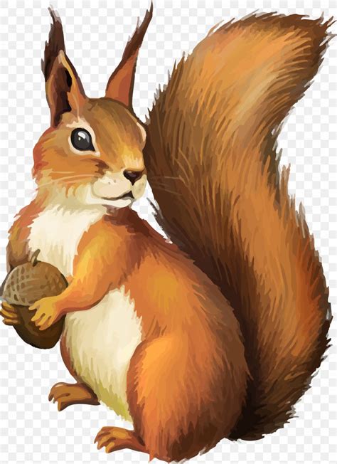 Squirrel Clip Art, PNG, 2726x3750px, Chipmunk, Fauna, Flying Squirrel, Ground Squirrel, Hare ...