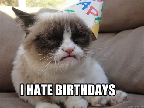 grumpy cat birthday memes | quickmeme