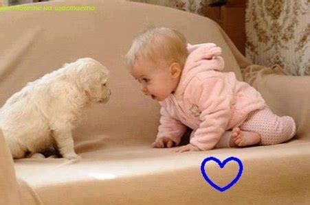 Funny Photos | Baby and Dog