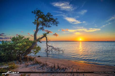 Stuart Florida Sunset Mangrove at Waterway – HDR Photography by Captain ...