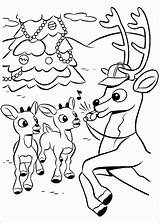 Free Rudolph The Red Nosed Reindeer Coloring Pages sketch template