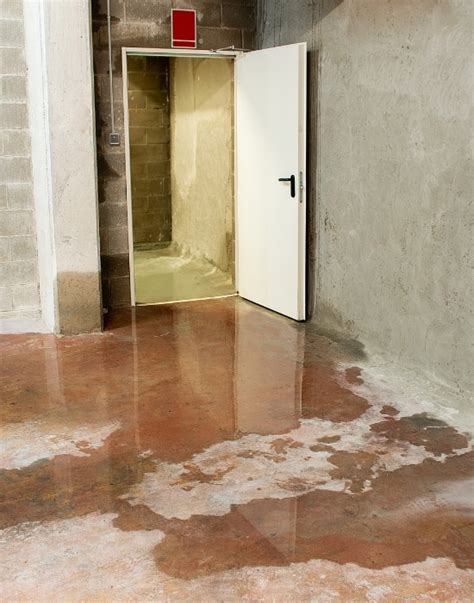 Damp Basement - Signs of Foundation Problems