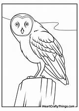 15 Realistic Animals Coloring Pages 100% Free Printables sketch template