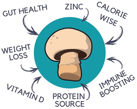 The Mushroom Diet For Weight Loss and Health - FreshCap Mushrooms