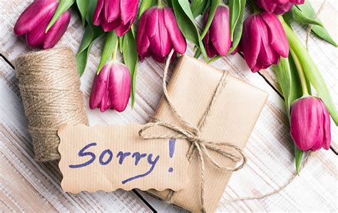 Flowers: The Best Way to Say 'Sorry' - zFlowers.com Blog