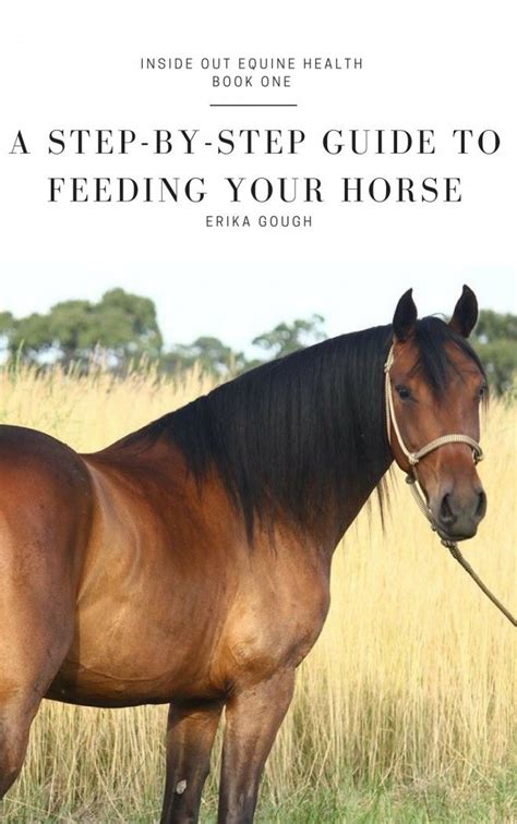 A step-by-step guide to feeding your horse | Horse health, Horses ...