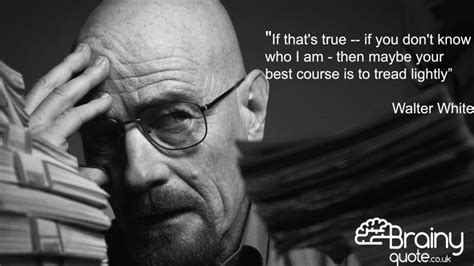 List : 27+ Best "Breaking Bad" Quotes (Photos Collection)