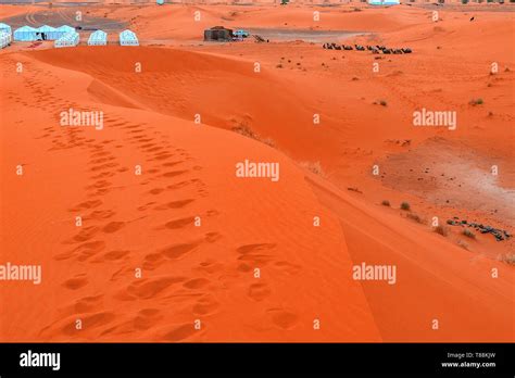 Beautiful sand dunes in the Sahara desert. Morocco Stock Photo - Alamy