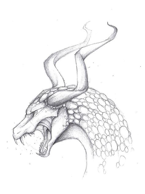 Dragon Doodle by EndlessShower on DeviantArt