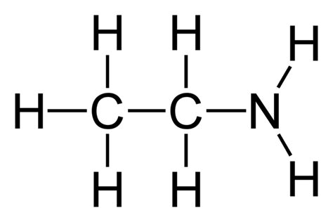 Difference Between Ethylamine and Diethylamine | Compare the Difference Between Similar Terms