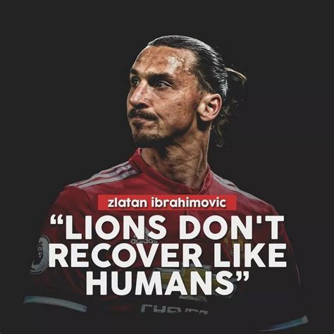 Kết quả hình ảnh cho zlatan ibrahimovic lion quotes | Zlatan quotes ...