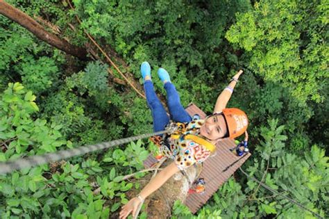 10+ Best Zipline Photos · 100% Free Download · Pexels Stock Photos