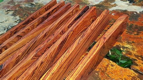 What is Cocobolo Wood? Properties, Characteristics, & Uses | House Grail