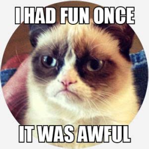 Grumpy Cat Meme | Meaning & History | Dictionary.com