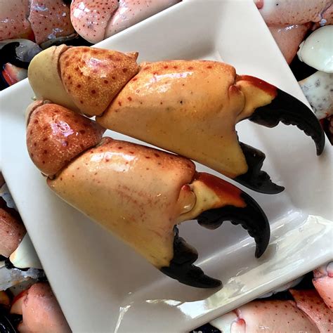 Colossal Stone Crab Claws – FreshStoneCrabs