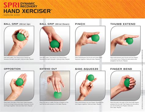 Amazon.com: SPRI Hand Therapy Exercise Ball Kit: Sports & Outdoors