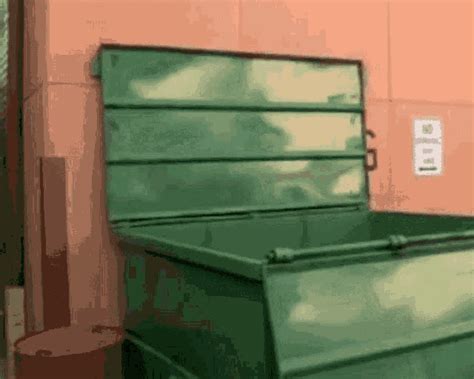 Dumpster Trash GIF - Dumpster Trash Rubbish - Discover & Share GIFs