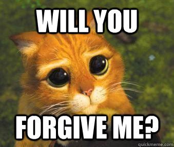 Will you forgive me? - Puss in boots - quickmeme