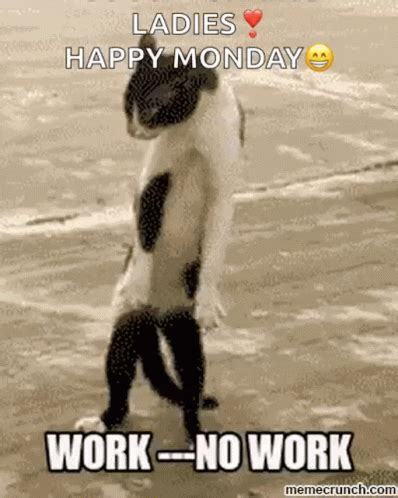 Funny Happy Monday GIFs | Tenor