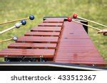 Xylophone Players Free Stock Photo - Public Domain Pictures