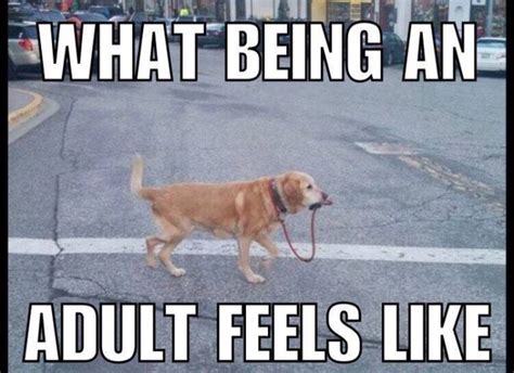 10 Funny Memes About Growing Up And Being An Adult