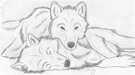 wolfie_cuddle_by_phantomwolf-d4244wa.jpg (900×500) | Cute wolf drawings, Wolf sketch