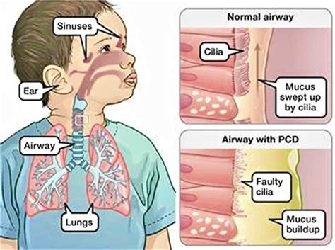 Health Symptoms : Causes, Treatment, Conditions and More