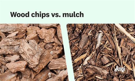 Wood Chips vs. Mulch: What’s the Difference?