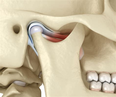 TMJ & TMD | Faces Physiotherapy