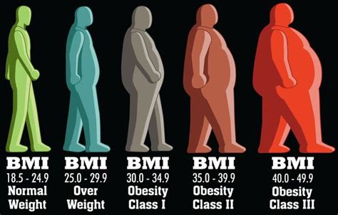 How many classes of obesity are there? | Total Assist