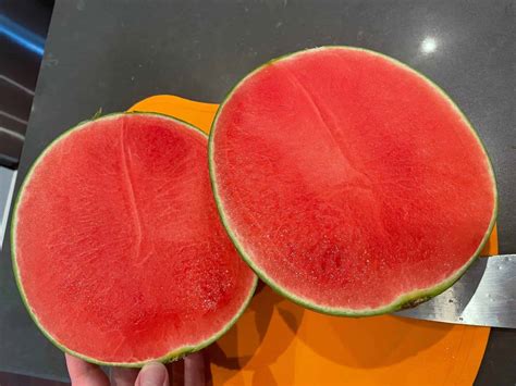 How to Grow Seedless Watermelon Seeds? - Plants Craze