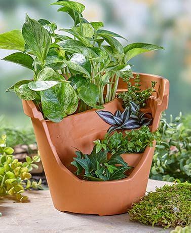 Diy Planters Indoor, Plant Decor Indoor, Flower Planters, Flower Pots ...