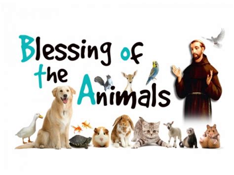 Blessing of the animals - St. Francis School