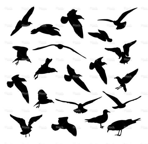 Seagulls vector silhouettes stock vector art 4242149 | Silhouette art ...