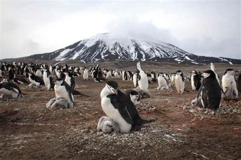 New Video Reveals the Technology of ‘Planet Earth II’ | IndieWire