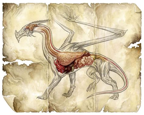 THE ART OF JIM NELSON: Dragon Anatomy