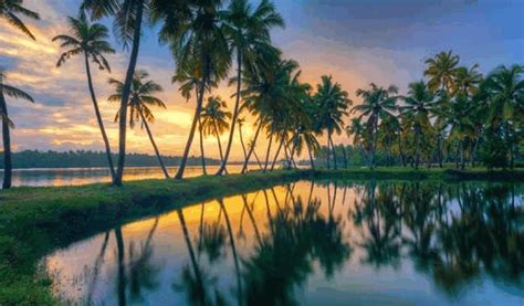 Top 10 Best Backwaters Of Kerala That Offer Much More Than Beauty And Tranquillity – Iris Holidays